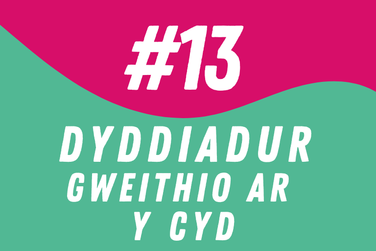 Dyddiadur 13